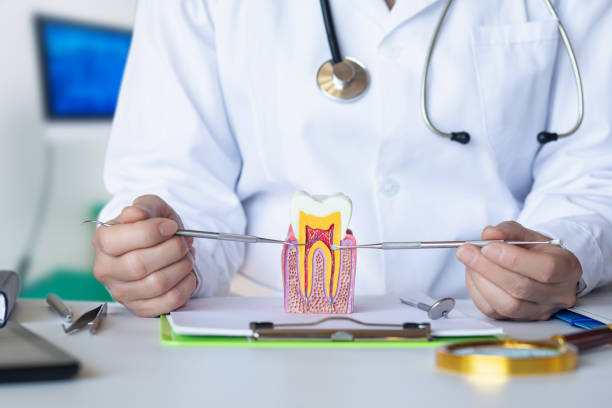 Best Emergency Dental Care for Trauma or Injury in Mcgregor, FL